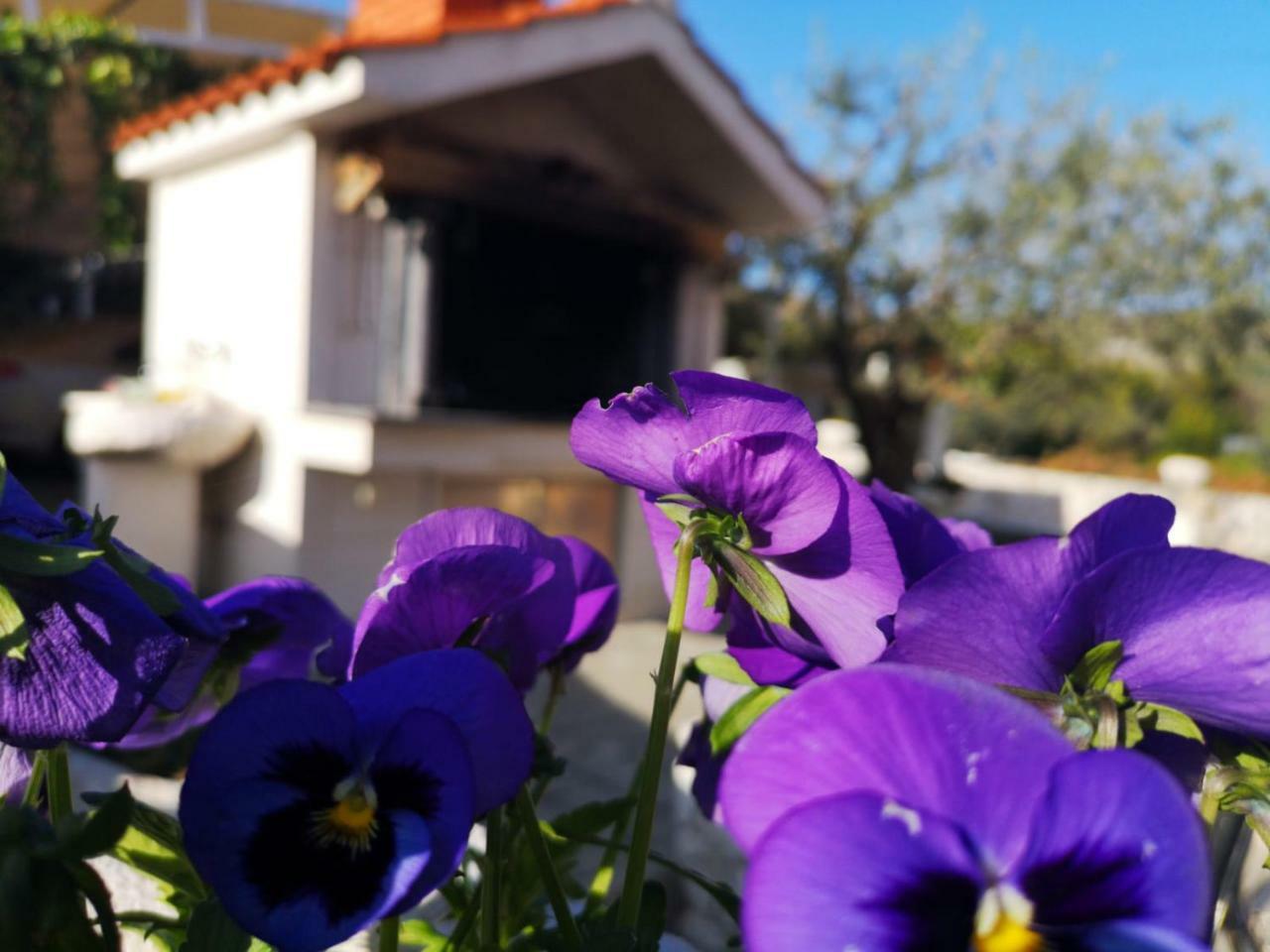 Apartament Loni Trogir Zewnętrze zdjęcie